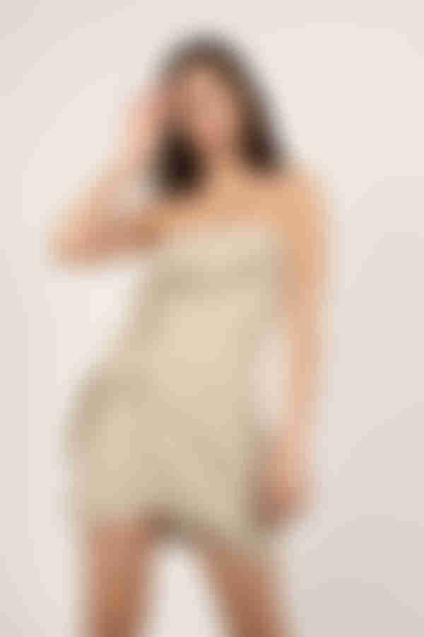 Winston White Devyn Gingham Wrap Mini Dress - Beige