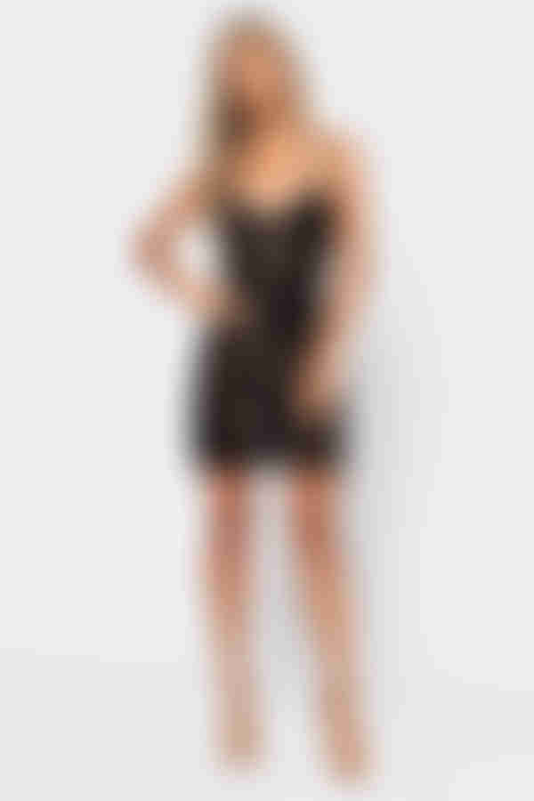 Honeymoon Lace Bodycon Mini Dress - Sienna