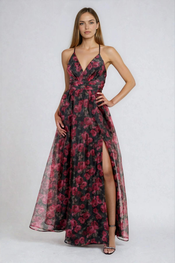 Warm Whisper Floral Organza Maxi Dress  - Black Red