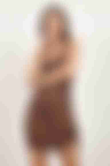 Lose Myself Zebra Print Bodycon Mini Dress - Brown Multi