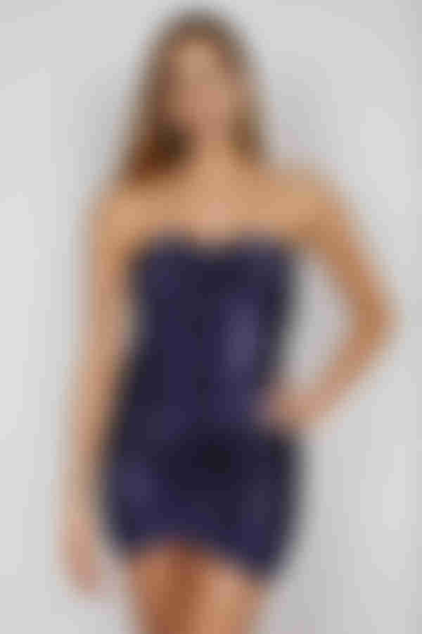 Sparkle Free Ruched Sequin Mini Dress - Dk Blue