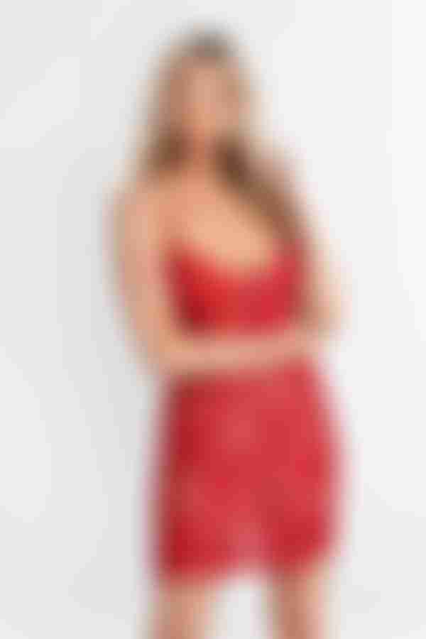 Honeymoon Lace Bodycon Mini Dress - Sienna