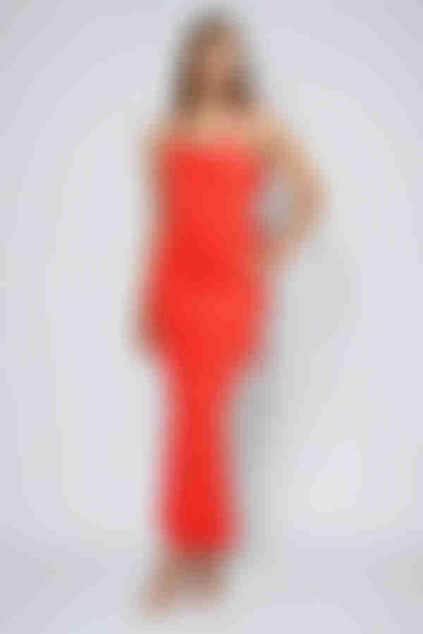 Rose Enchantment Backless Bodycon Maxi Dress - Red