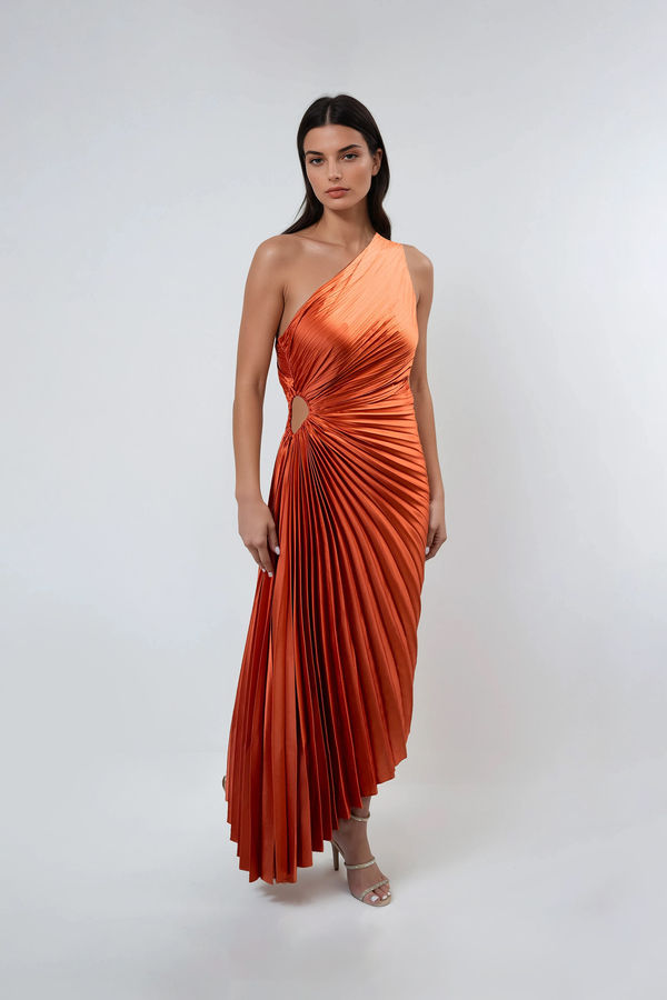 Fearless Flame One Shoulder Pleated Maxi Dress - Sienna