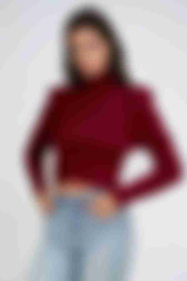 Sleek Charm Turtleneck Top - Wine