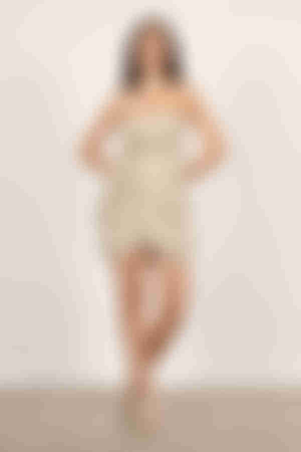 Winston White Devyn Gingham Wrap Mini Dress - Beige