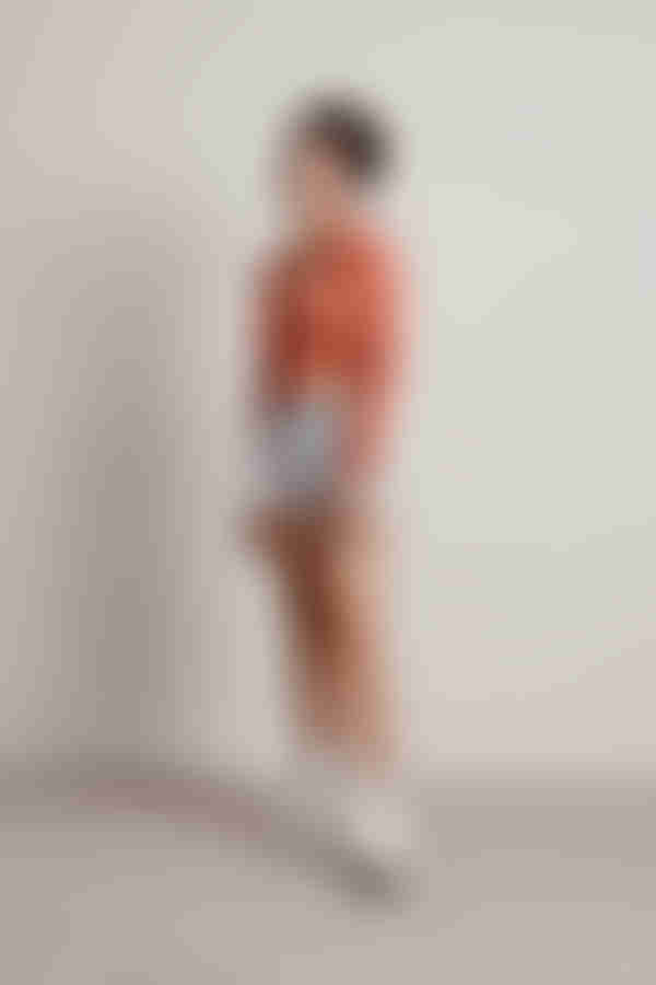 Silver Crop Top - Dusty Red