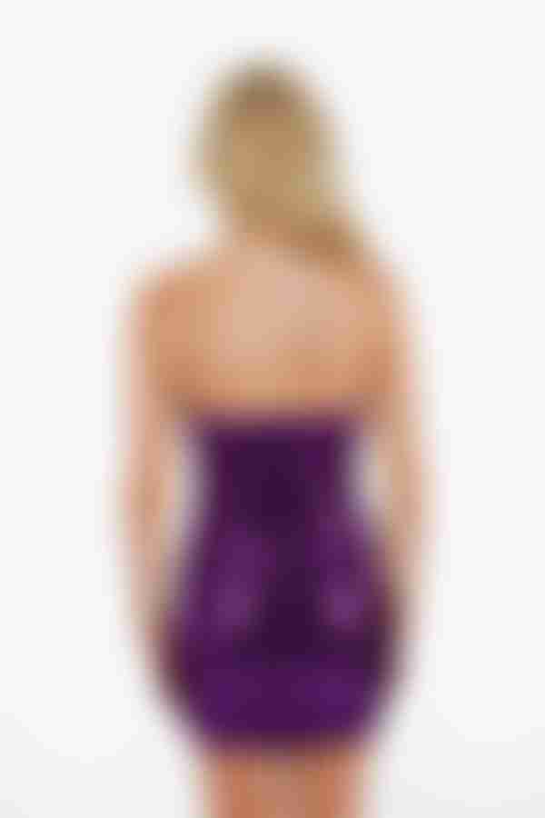 Haisley Sequin Bodycon Mini Dress - Plum