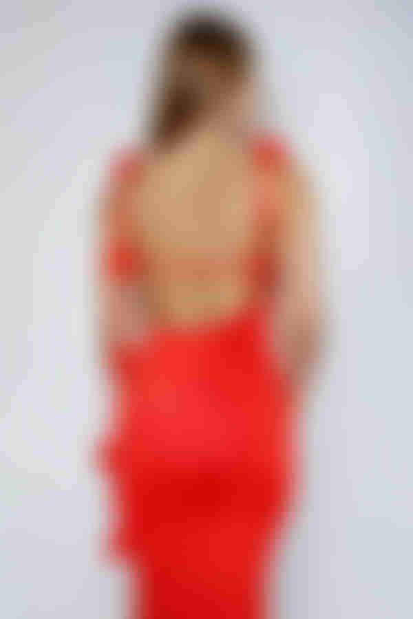Rose Enchantment Backless Bodycon Maxi Dress - Red