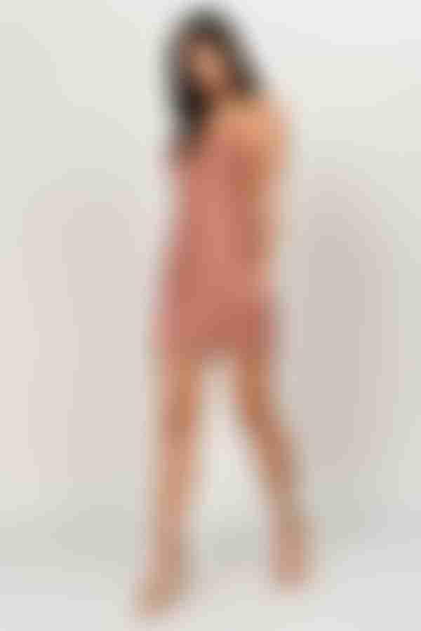 Honeymoon Lace Bodycon Mini Dress - Sienna