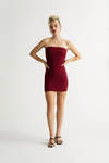 Tina Wine Sleeveless Tube Bodycon Mini Dress
