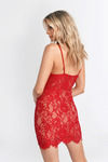 Honeymoon Red Lace Bodycon Dress