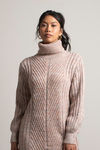 Keepin Cozy Cream Multi Turtleneck Sweater Dress